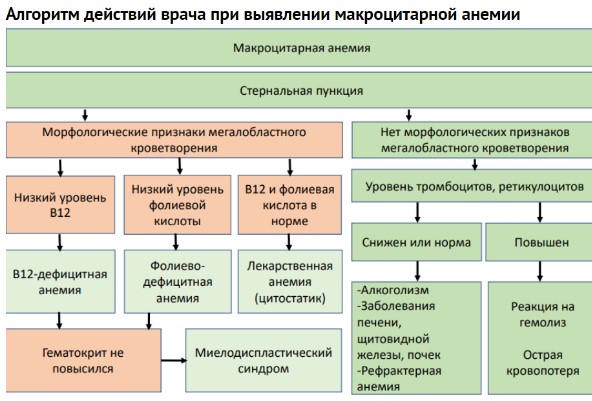 Стандарты лечения анемии. Стандарты лечения анемии