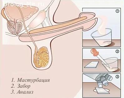 Тек жаңа порно Колготки және шұлық порно онлайн