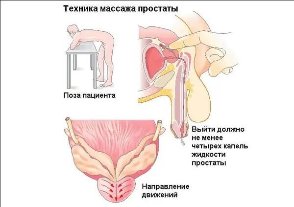 Мульфми секс туралы