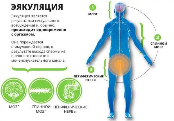 Надежданың аты (фото)