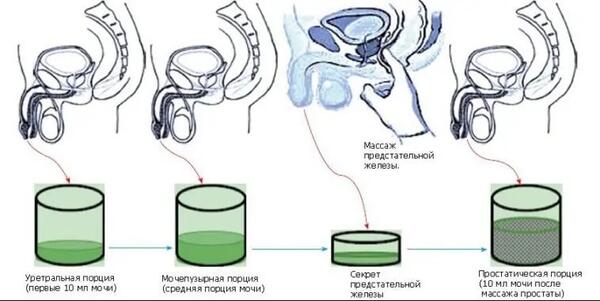 Эротикалық ойындар тегін