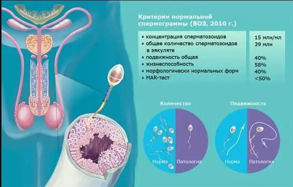 Бойжеткен 18 сауын аппаратына жалғанған